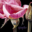 Deep Pink Rose & Bud